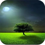 Logo of Nature wallpaper hd app offlin android Application 