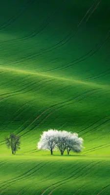 Nature wallpaper hd app offlin android App screenshot 3